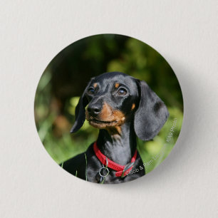Miniatyrbild 3 med mjuka hörn knapp