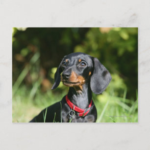 Miniatyrbild 3 med mjuka hörn vykort