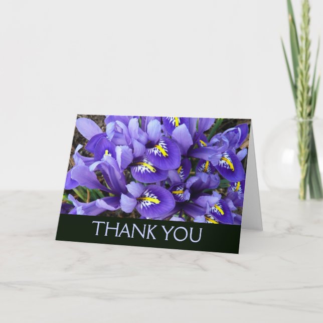 Miniatyrblå Iriser Vårblommor Tack Kort (Framsida)