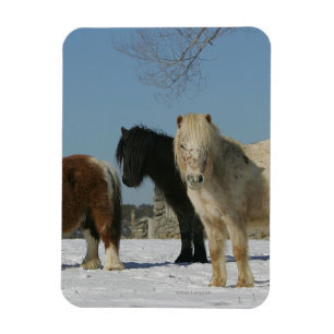 Miniatyrgrupp i Snö Magnet