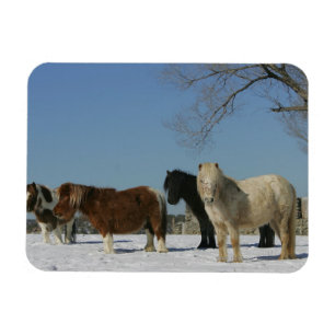 Miniatyrgrupp i Snö Magnet