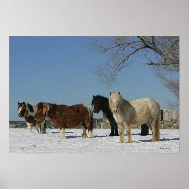Miniatyrgrupp i Snö Poster (Framsidan)