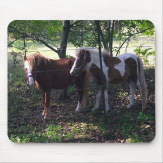 Miniatyrhäst Mousepad Musmatta