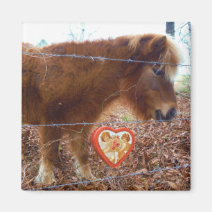 Miniatyrhäst Valentine Red Heart Magnet