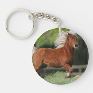 Miniatyrhästanseende