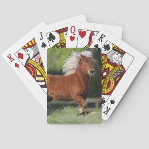Miniatyrhästanseende Casinokort