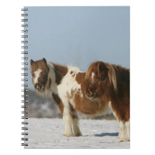 Miniatyrhästar som står i snön anteckningsbok med spiral