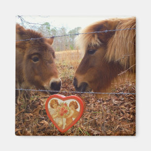 Miniatyrhästar Valentine Red Heart Magnet