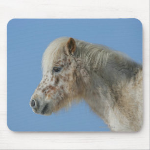 MiniatyrhästHeadshot Musmatta