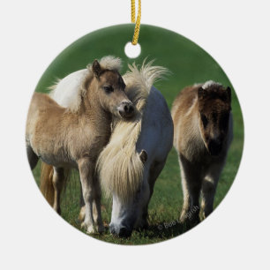 MiniatyrMare & föl 1 Julgransprydnad Keramik