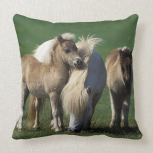 MiniatyrMare & föl 1 Kudde