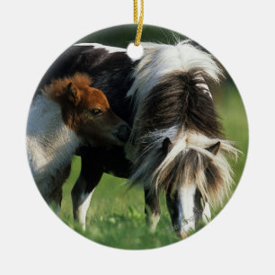 MiniatyrMare & föl 2 Julgransprydnad Keramik