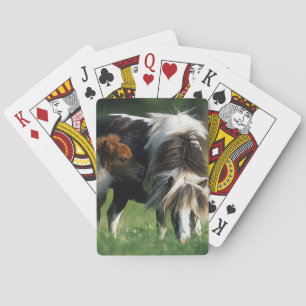 MiniatyrMare & föl 2 Spel Kort