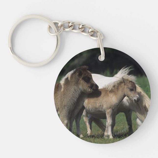 MiniatyrMare & föl 3 (Framsidan)