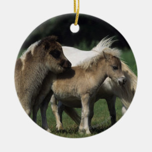 MiniatyrMare & föl 3 Julgransprydnad Keramik