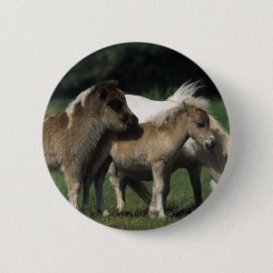 MiniatyrMare & föl 3 Knapp