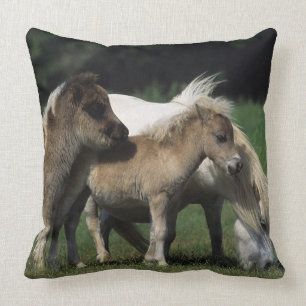 MiniatyrMare & föl 3 Kudde