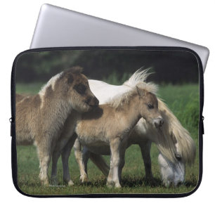 MiniatyrMare & föl 3 Laptop Sleeve