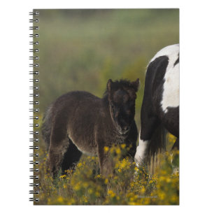 MiniatyrMare & föl i blommorna Anteckningsbok