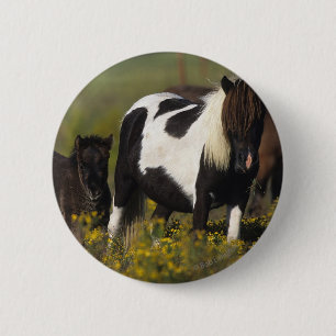 MiniatyrMare & föl i blommorna Knapp