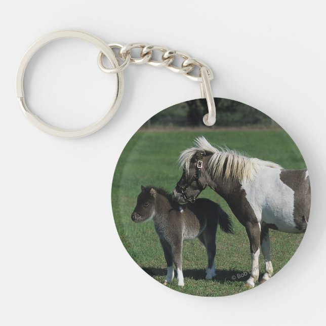 Miniatyrmare- & fölanseende (Framsidan)