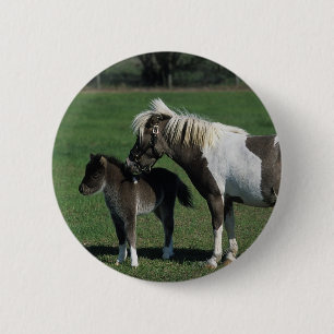 Miniatyrmare- & fölanseende knapp