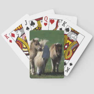 Miniatyrmöbler och föl 1 spel kort