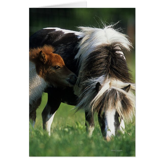 Miniatyrmöbler och föl 2 hälsningskort (Framsidan)