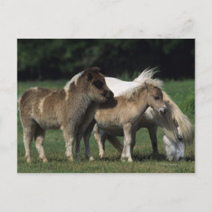 Miniatyrmöbler och föl 3 vykort
