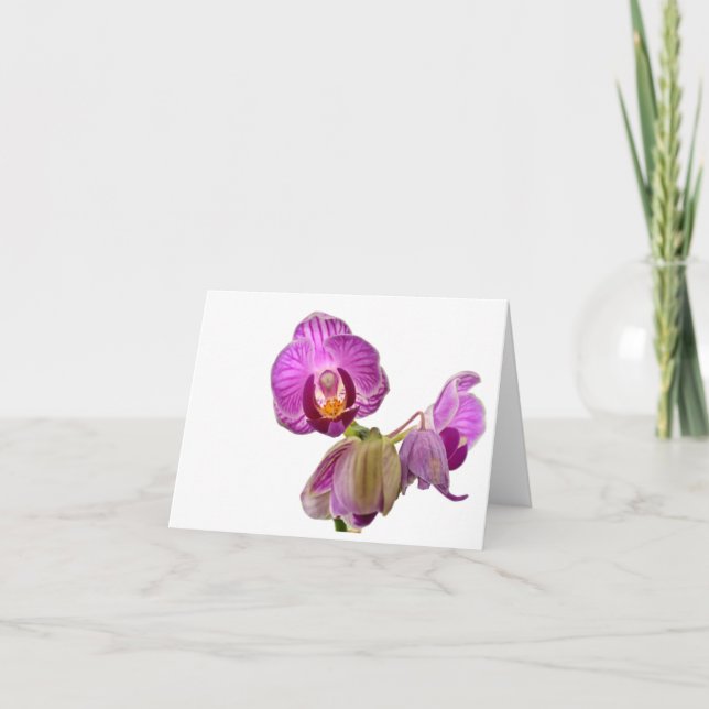 Miniatyrorchiden noterar tack kort (Framsida)