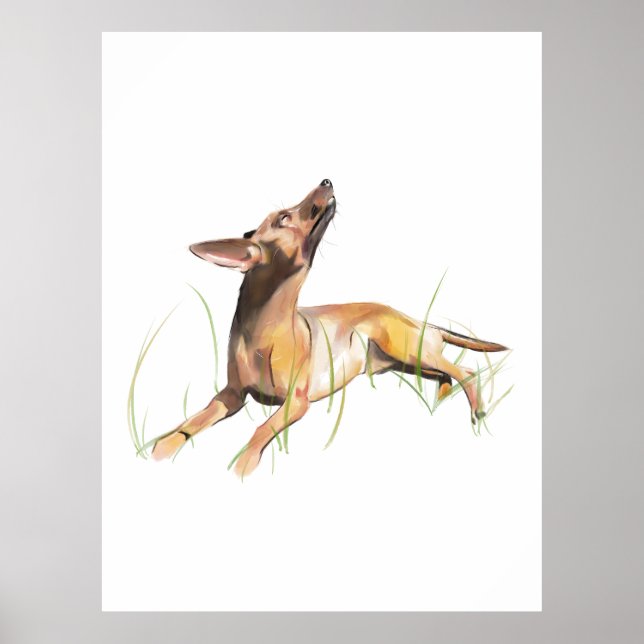 Miniatyrpinscher Akvarellmålning, Väggkonst (Framsidan)