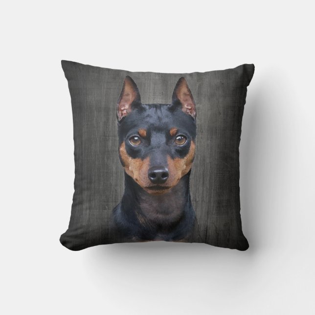 MiniatyrPinscher Kudde (Framsida)