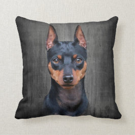 MiniatyrPinscher Kudde