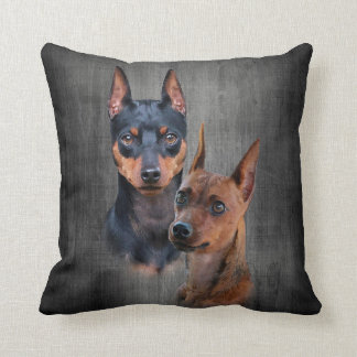 MiniatyrPinscher Kudde