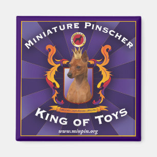 MiniatyrPinscher, kung av leksaker Magnet
