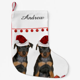 MiniatyrPinscher Liten Julstrumpa