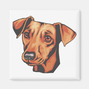 MiniatyrPinscher Magnet