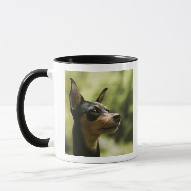 MiniatyrPinscher (Minut-Klämma fast), 2 Mugg (Vänster)