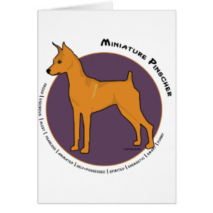 MiniatyrPinscher, röd fullvuxen hankronhjort Hälsningskort