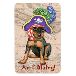 MiniatyrPinscherpirat Magnet
