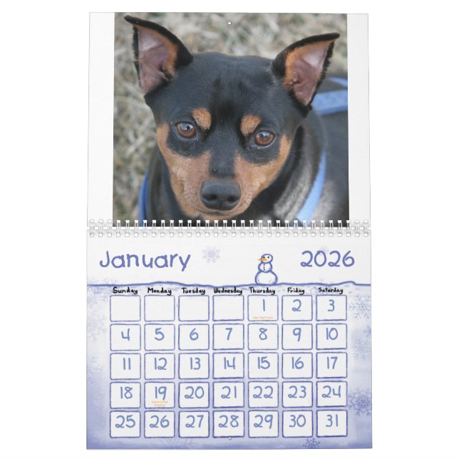 MiniatyrPinschers! Kalender (Jan 2026)