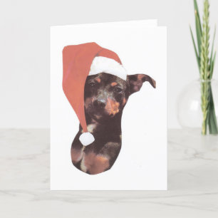 MiniatyrPinscherSanta hatt Helgkort