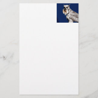 MiniatyrSchnauzer Brevpapper