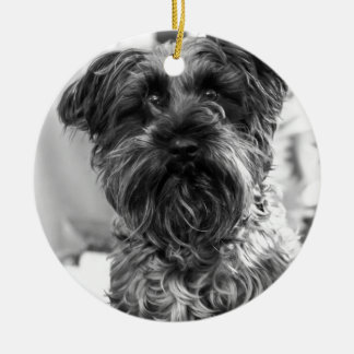 MiniatyrSchnauzer Julgransprydnad Keramik