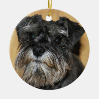 MiniatyrSchnauzer Julgransprydnad Keramik
