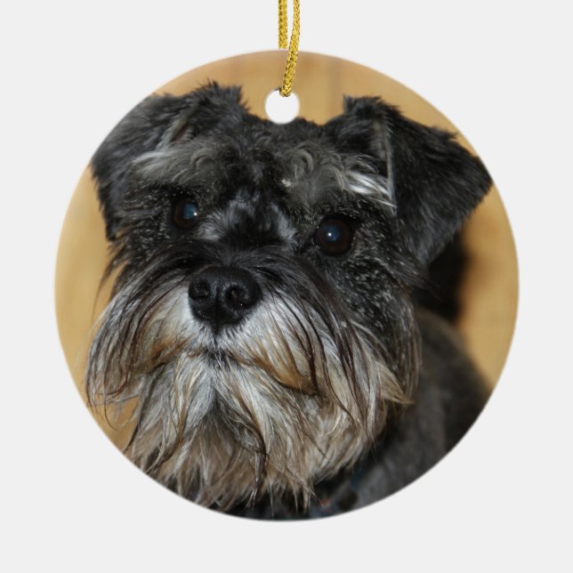MiniatyrSchnauzer Julgransprydnad Keramik (Framsidan)