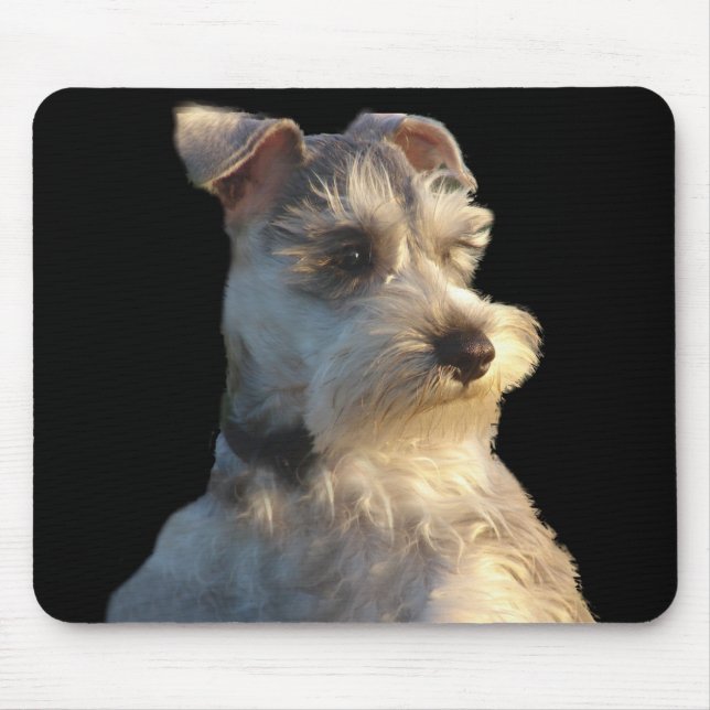 MiniatyrSchnauzer Mousepad Musmatta (Framsidan)