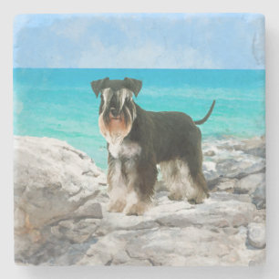 MiniatyrSchnauzer på strandvattenfärgen Stenunderlägg