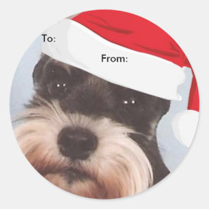 MiniatyrSchnauzer To/From julklistermärkear Runt Klistermärke