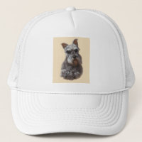 MiniatyrSchnauzer